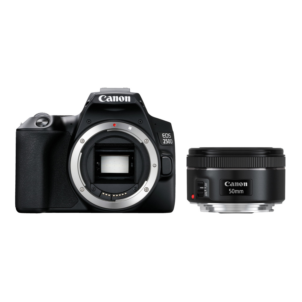 Canon EOS 250D + EF 50mm f/1.8 STM bestellen