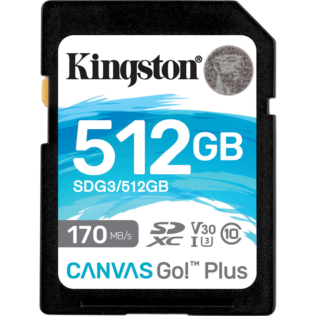 Kingston Canvas Go Plus 512GB bestellen
