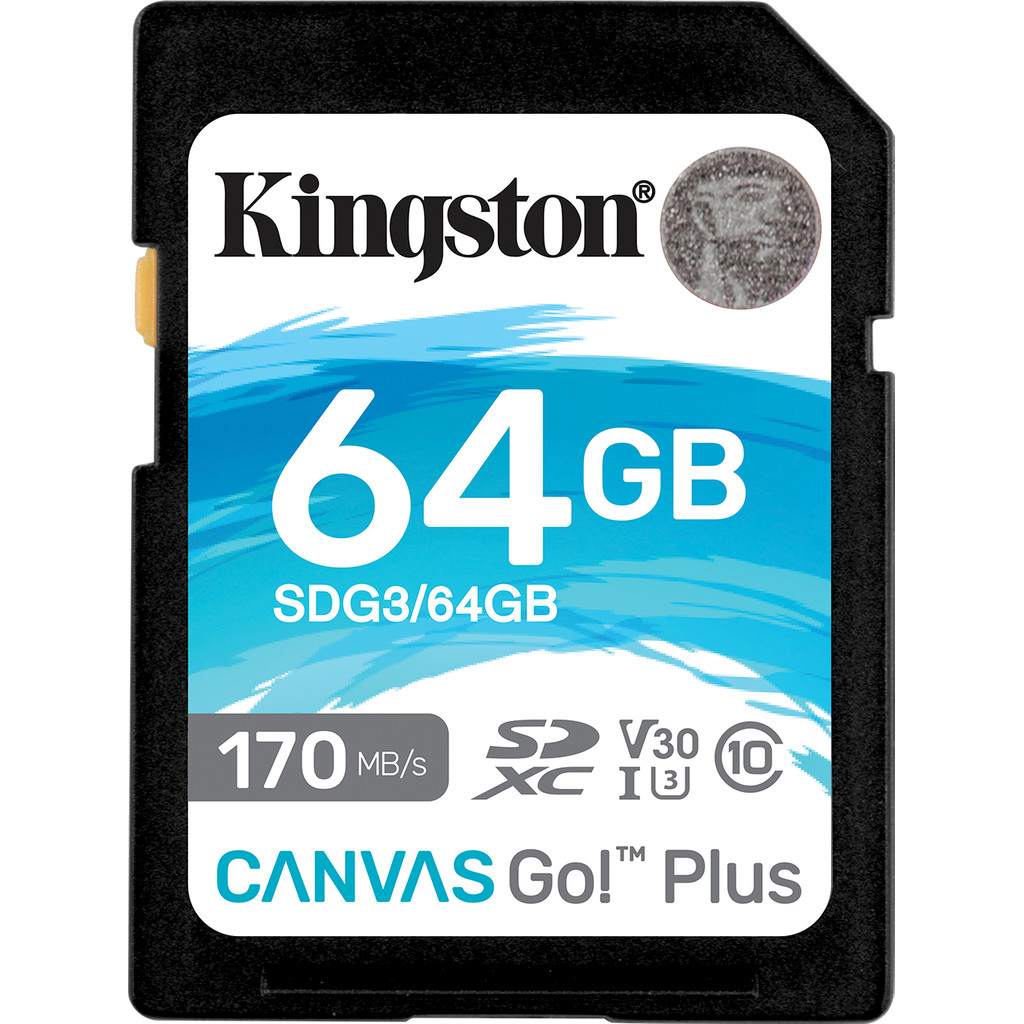 Kingston Canvas Go Plus 64GB bestellen