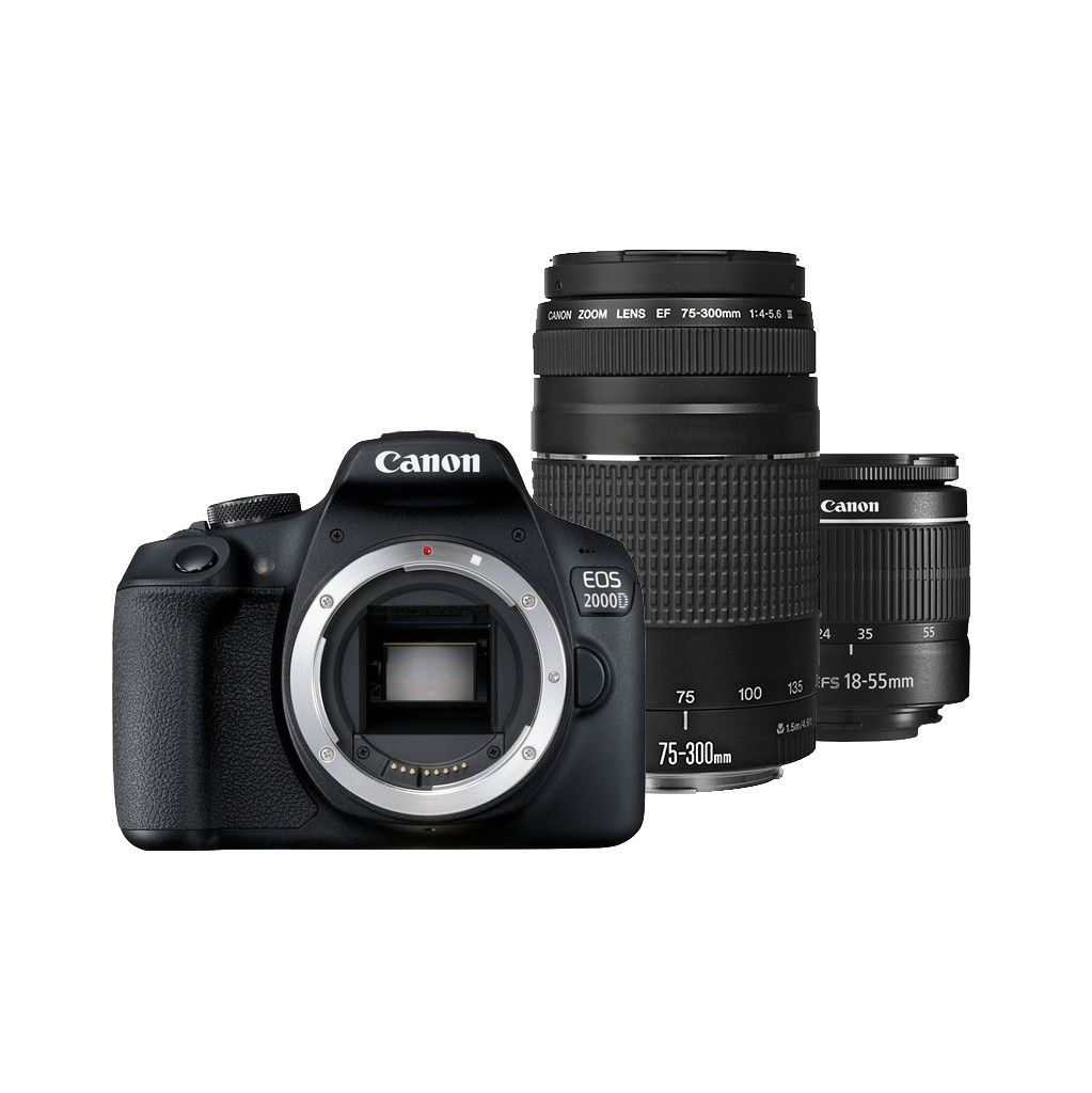 Canon EOS 2000D + EF-S 18-55mm f/3.5-5.6 DC III + EF 75-300mm f/4-5.6 DC III bestellen